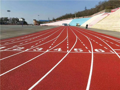 塑膠跑道案例大連外國(guó)語(yǔ)學(xué)院